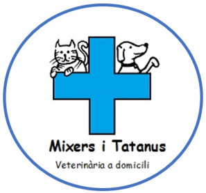 mixers_tatanus oval
